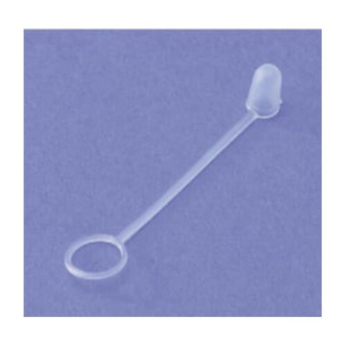 �X�|�C�g�{�g��