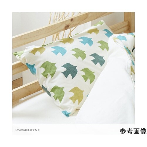 ���J�o�[�@�s�W����