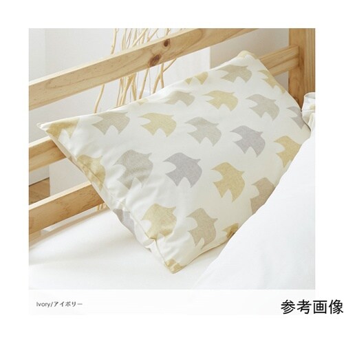 ���J�o�[�@�s�W����