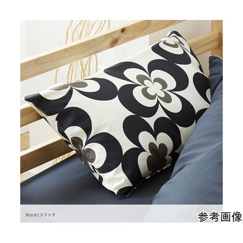 ���J�o�[�@�f�B���L�[