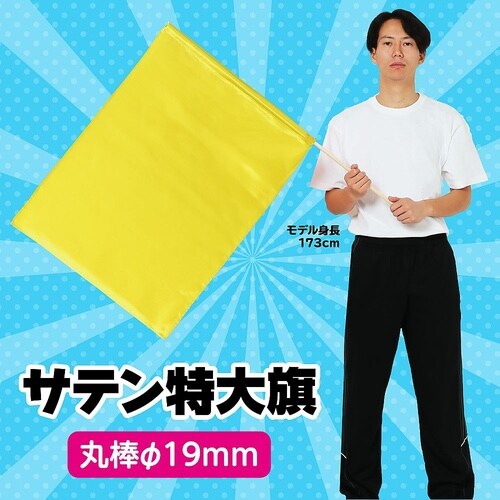 �T�e�������