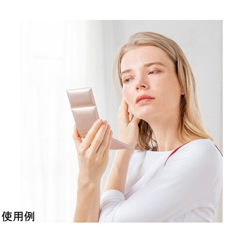 プロモデル折立ミラー