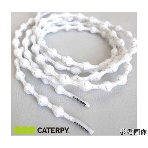 �X�N�[���L���^�s�[�@�C�R