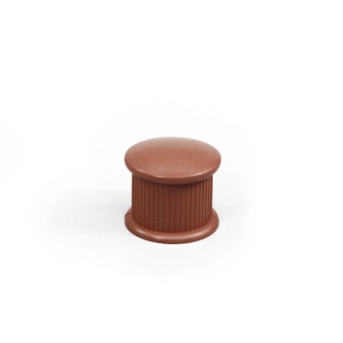 �C�X�r�L���b�v�@��