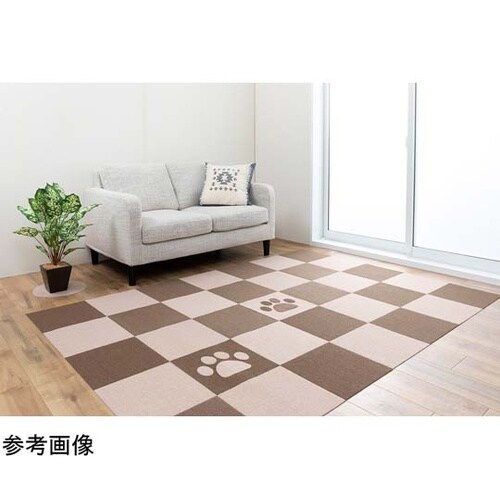 ���������z���������у}�b�g����