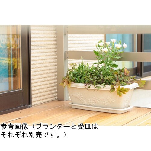 フロールプランター