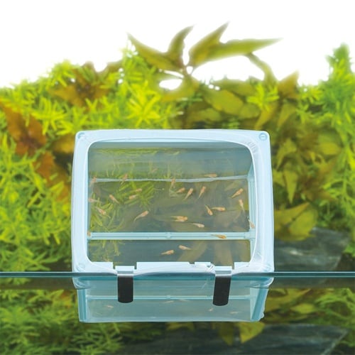 �V�E�Y������l�b�g