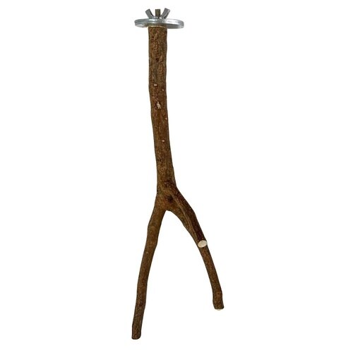 �j�[���̂Ƃ܂��