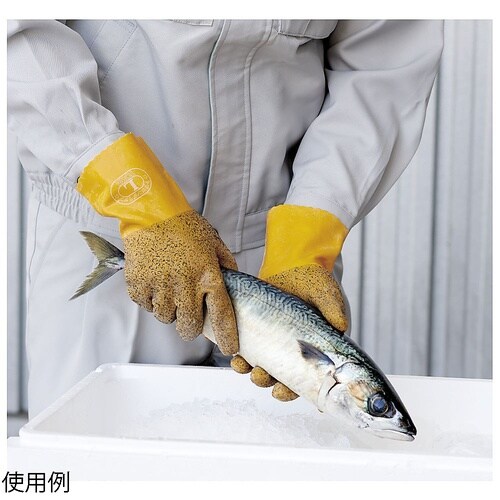 �g�������O���b�v