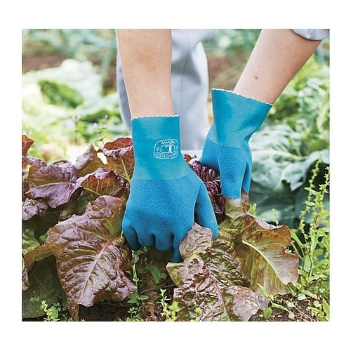 �j���[�g������