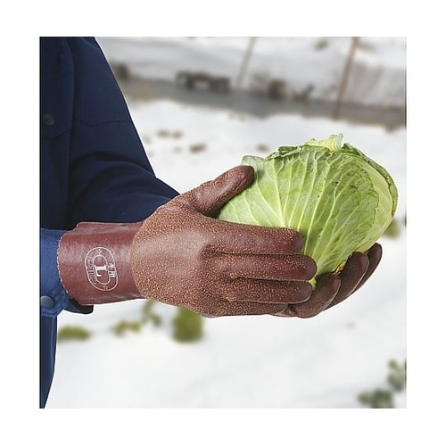 �g�������~��Ɨp