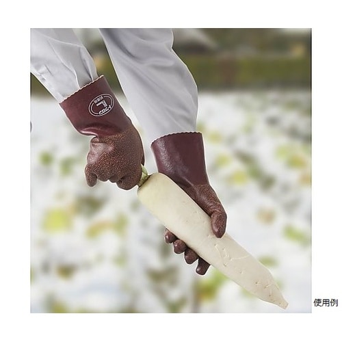 �g�������h���p