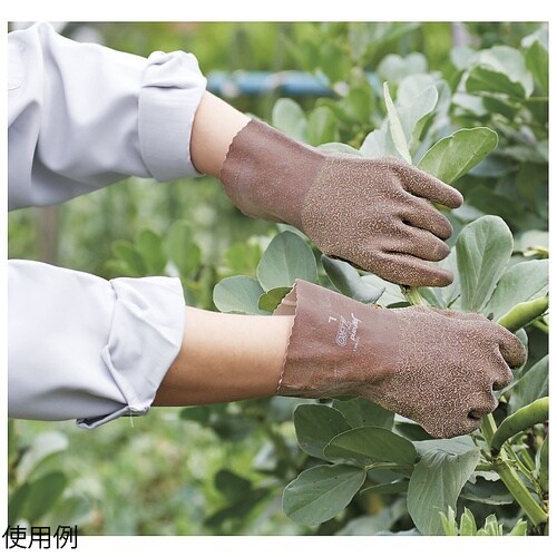 �W���C�n���h�[��