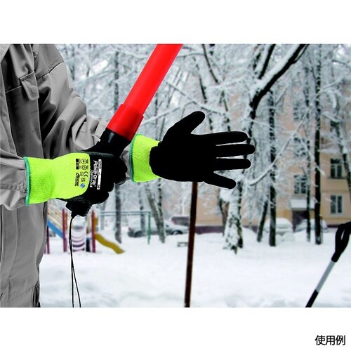 �p���[�O���u�T�[��