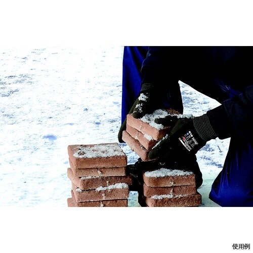 �p���[�O���u�T�[��