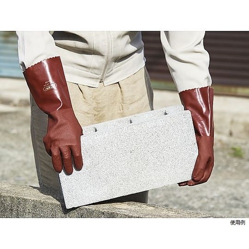 �r�j�X�^�[�`�|�Q�O