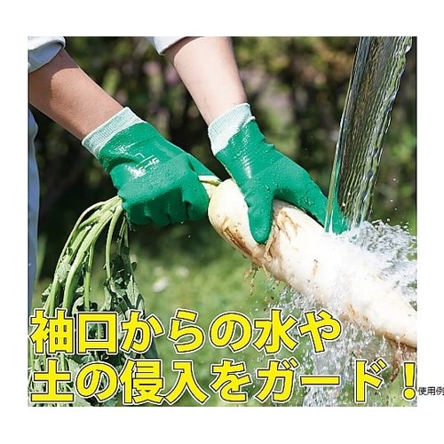 �r�j�X�^�[�W���[�W