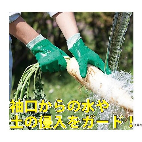 �r�j�X�^�[�W���[�W