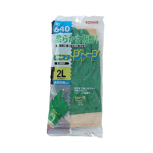 �r�j�X�^�[�W���[�W