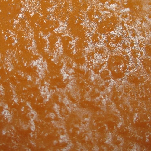 ビニスターエース