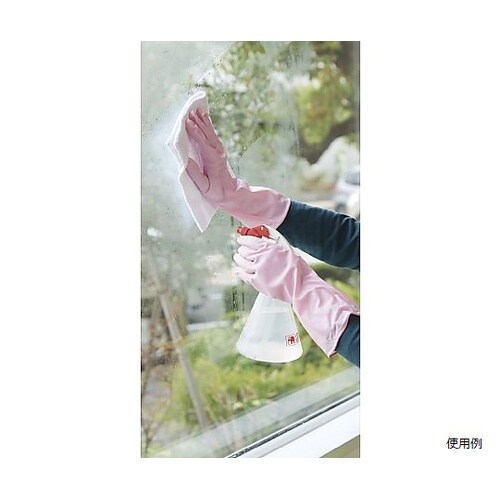 �g�����[�u�p�[��������i�s���N�j