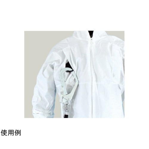 �t���n�[�l�X�Ή��Ȃ���