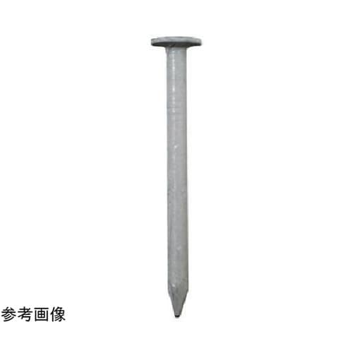 �J���[�B�@�Q�T�l�l