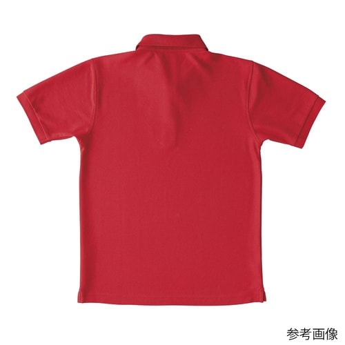 �x�[�V�b�N�X�^�C���|���V���c�@�^�[�R�C�Y