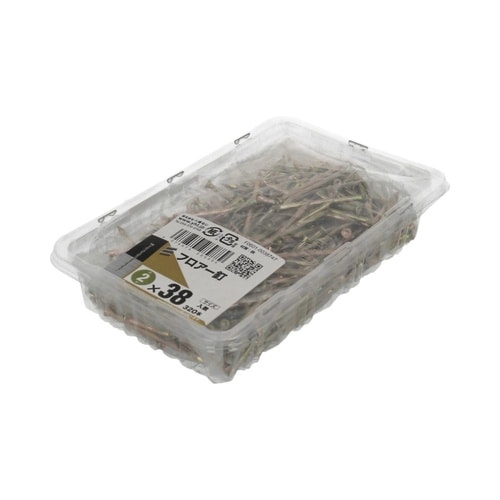 �t���A�[�B