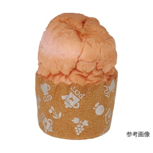 �p�����ʁ@�p���̊ʋl�@�P�i