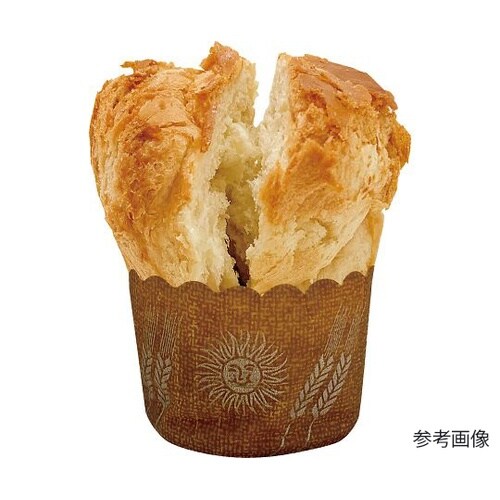 �V�N�G�}�[�W�F���V�[�u���b�h�@�Q�O�ʓ��@