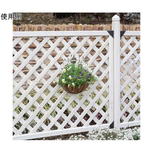 �E�H�[���n���M���O�o�X�P�b�g