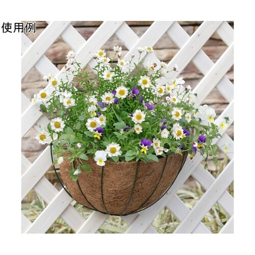 �E�H�[���n���M���O�o�X�P�b�g