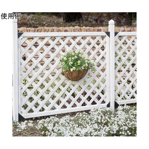 �E�H�[���n���M���O�o�X�P�b�g