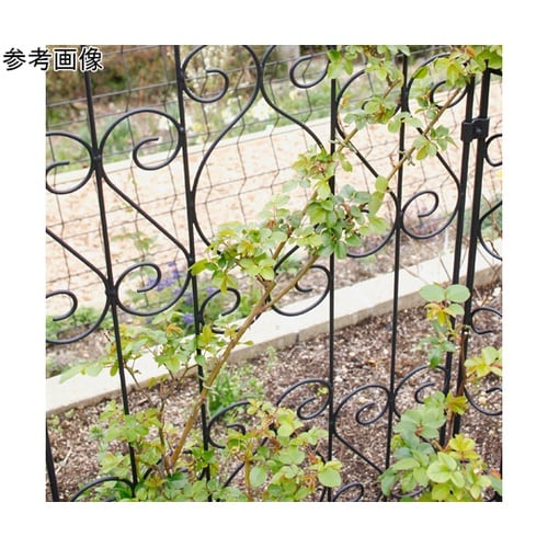 �K�[�f���\�t�g�^�C