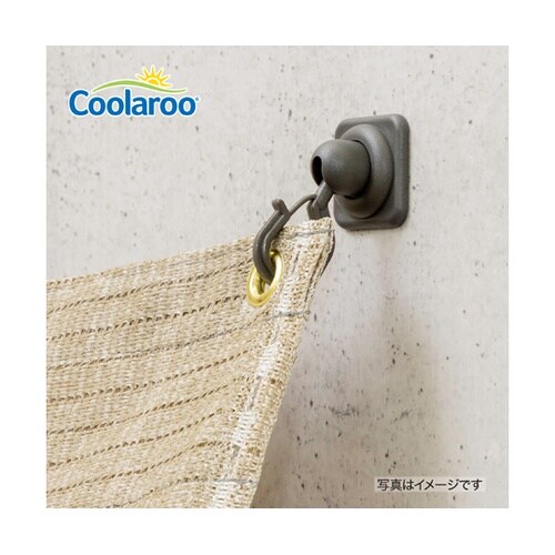 �V�F�[�h��t