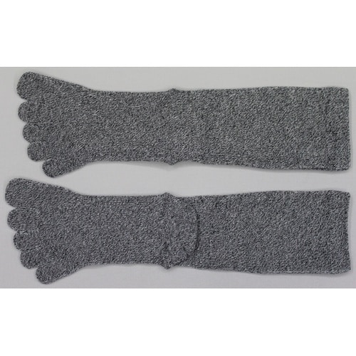 �ŋ������T�{�w�\�b�N�X