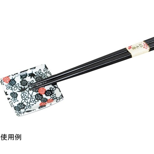 ���傢�Ɣ��x�߁@�p���M