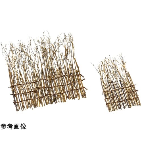 ���|������