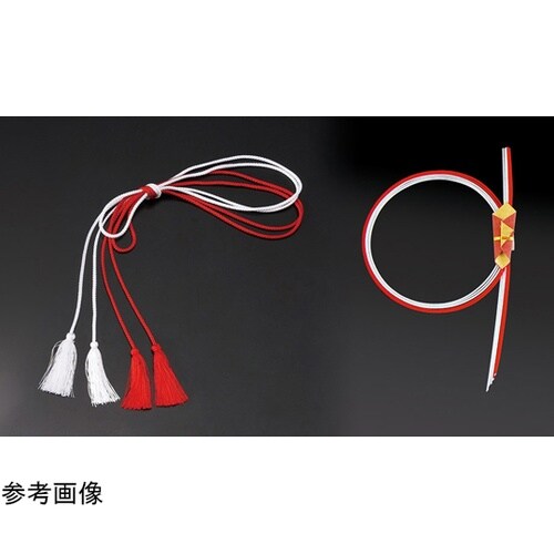 �d���p�q��