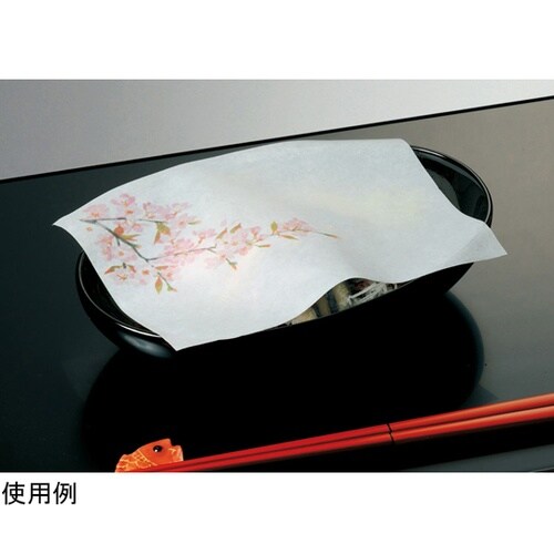 ���ԕۑN���@