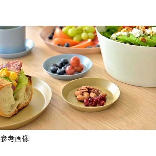 ウスモノ プレート