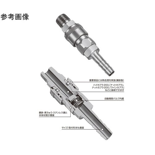 �n�C�J�v���i�v���O�j�|�S�i�N�����߂����j