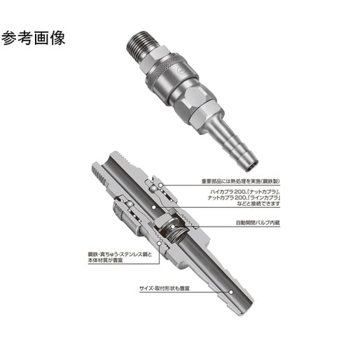 �n�C�J�v���i�v���O�j�|�S�i�N�����߂����j