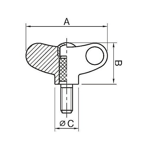 �m�X�`�[�����n�Y�˂��m�u