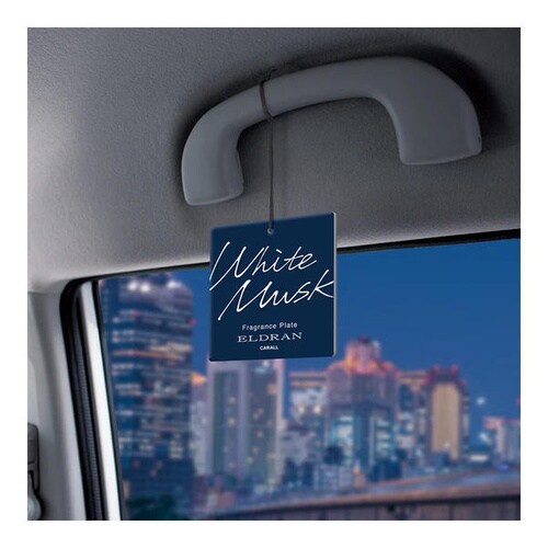 �G���f�������@���C�U�[