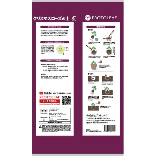 クリスマスローズの土