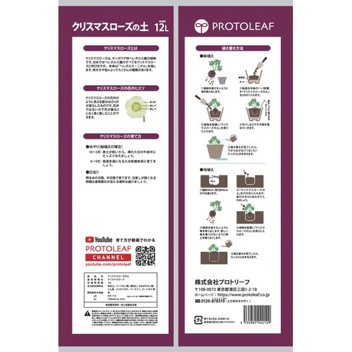 クリスマスローズの土