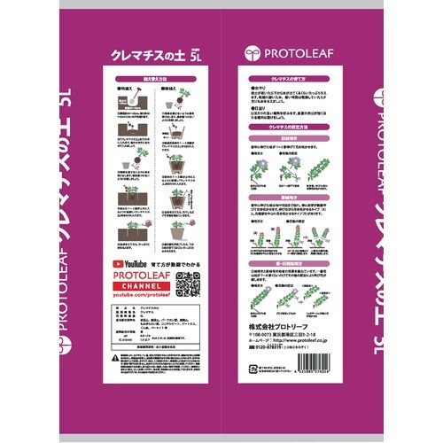 クレマチスの土