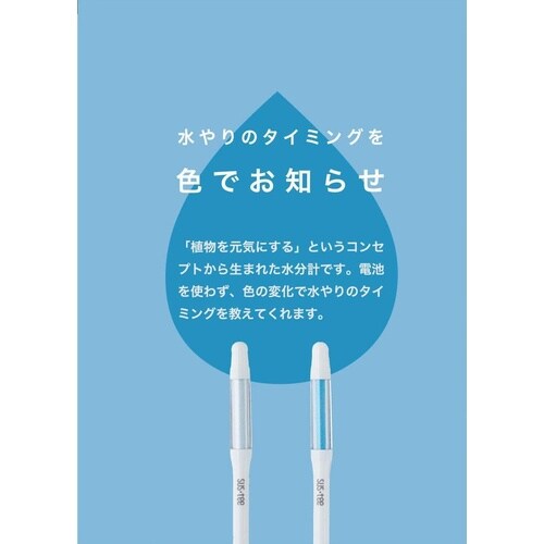 サスティー リフィル シングルパック